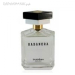 Diadema Exclusif Habanera