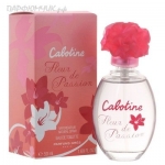 Gres Cabotine Fleur de Passion